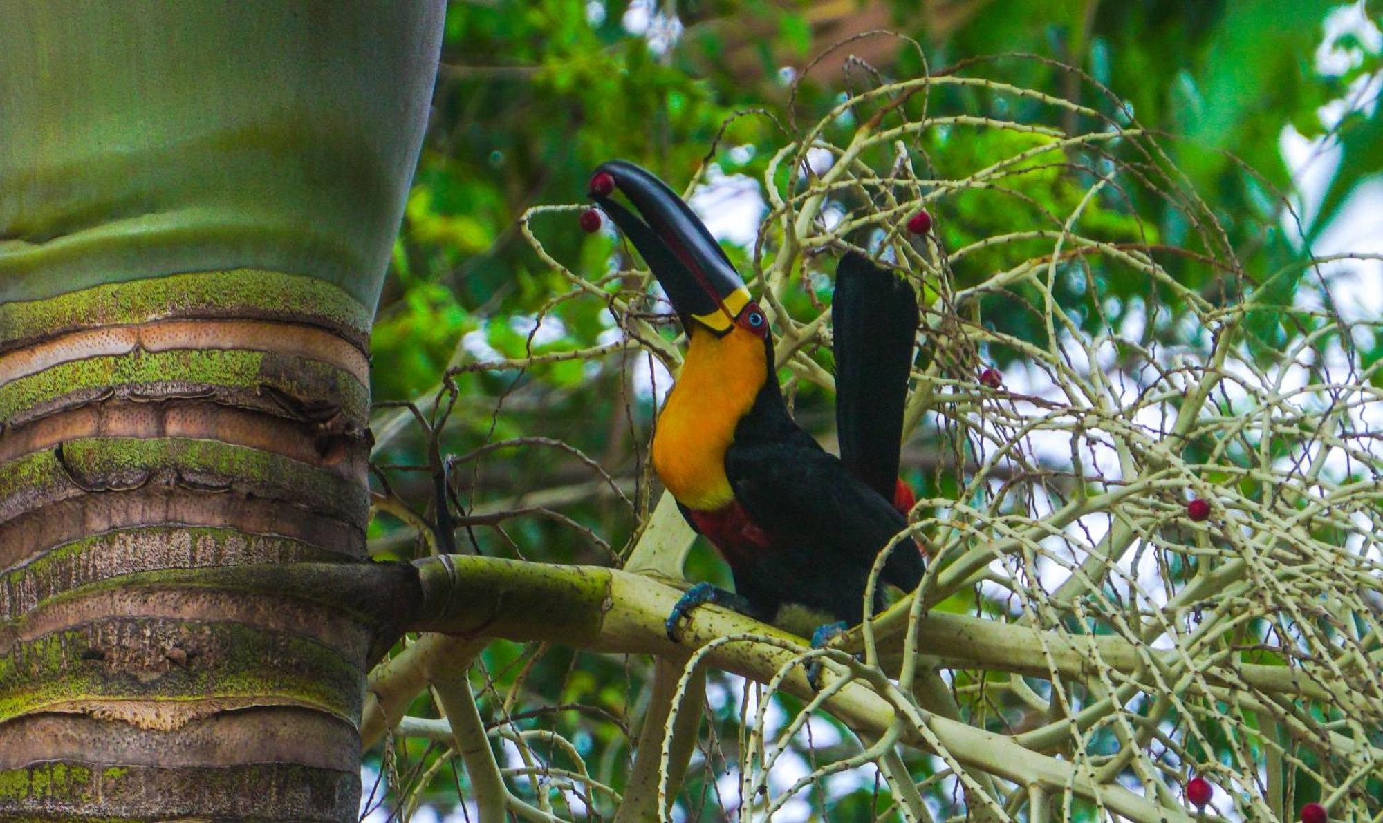 Pousada Do Moca Florianópolis Exteriér fotografie