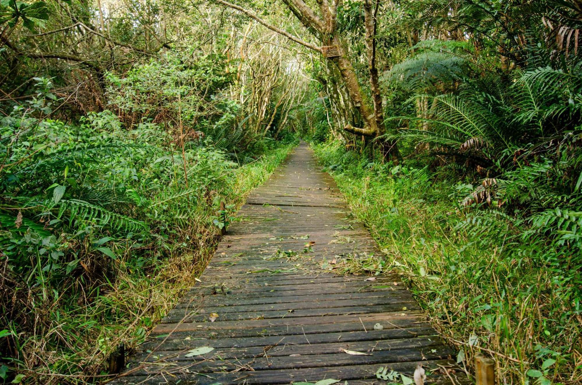 Pousada Do Moca Florianópolis Exteriér fotografie